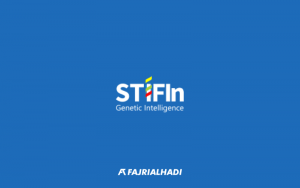 STIFIn Test