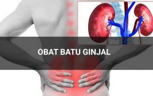 Obat Batu Ginjal